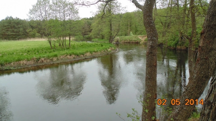 Miejscówka 230 - biwak Błędno nad Wdą - zdjęcie 12