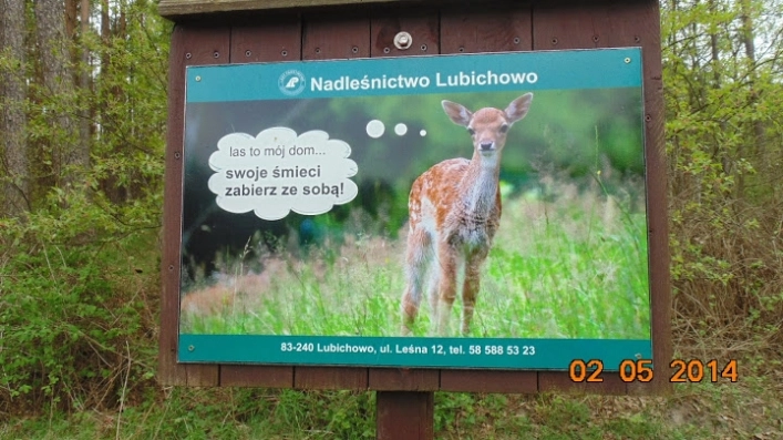 Miejscówka 230 - biwak Błędno nad Wdą - zdjęcie 4