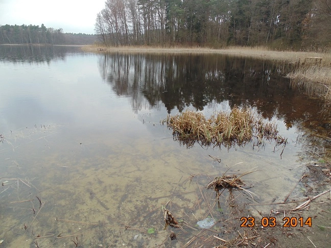 Miejscówka 231 - Gardeja II - zdjęcie 8