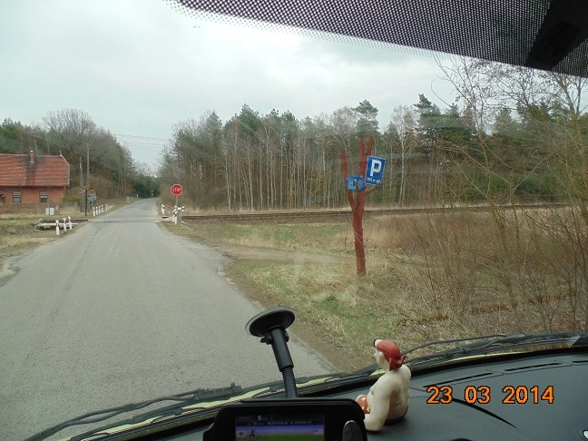 Miejscówka 231 - Gardeja II - zdjęcie 5