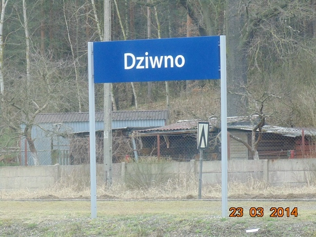 Miejscówka 231 - Gardeja II - zdjęcie 4