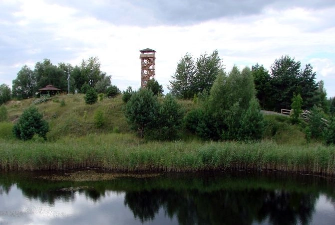 Miejscówka 237 - Mosina Glinianki - zdjęcie 5