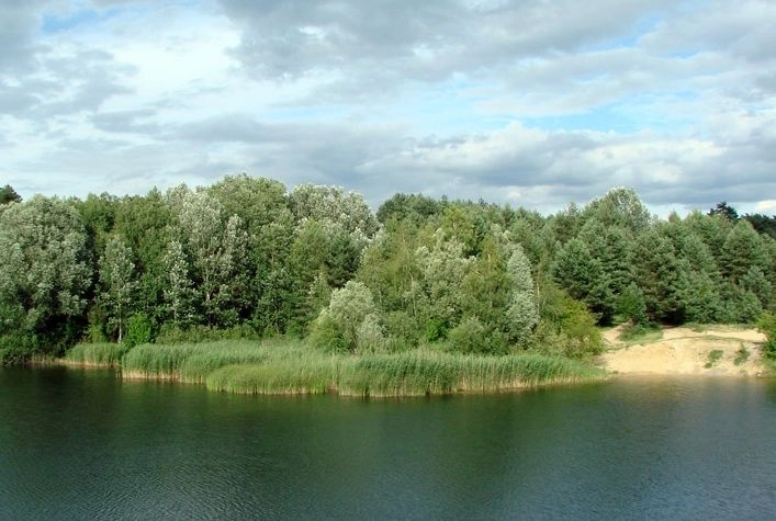 Miejscówka 237 - Mosina Glinianki - zdjęcie 2