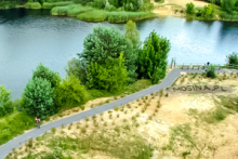 Miejscówka 237 - Mosina Glinianki - zdjęcie 0