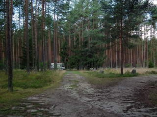 Miejscówka 240 - Grzybnica - zdjęcie 2