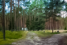 Miejscówka 240 - Grzybnica - zdjęcie 0