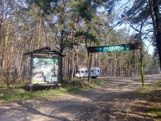 Miejscówka 246 - Kobyla Góra - zdjęcie 2