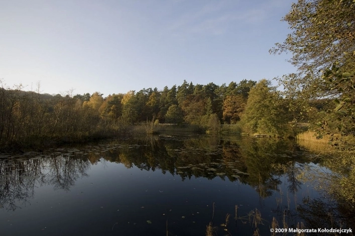 Miejscówka 248 - Wolin - zdjęcie 2