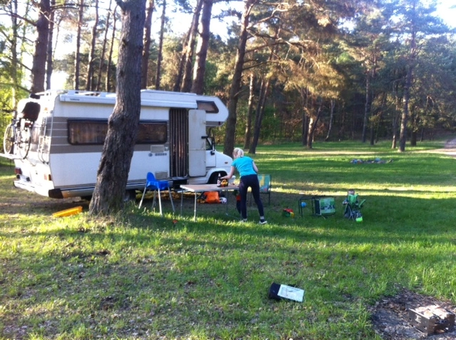 Miejscówka 262 - Jezioro Wierzchowo - zdjęcie 6