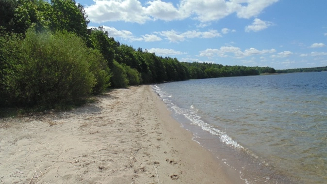 Miejscówka 262 - Jezioro Wierzchowo - zdjęcie 3