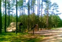 Miejscówka 264 - Olpuch Las - zdjęcie 0