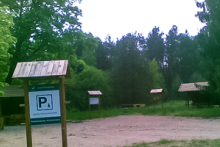 Miejscówka 270 - Borsk lotnisko - las - zdjęcie 0