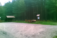 Miejscówka 271 - Borsk - las - zdjęcie 0