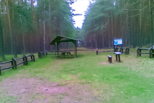 Miejscówka 272 - Tramkule las - zdjęcie 0