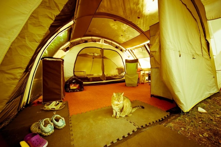 Galeria - zdjęcie 7