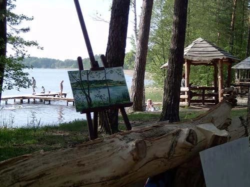 Pole Biwakowe Swaderki - zdjęcie 1