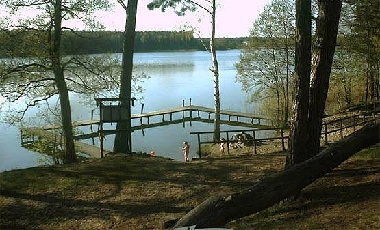 Galeria - zdjęcie 1