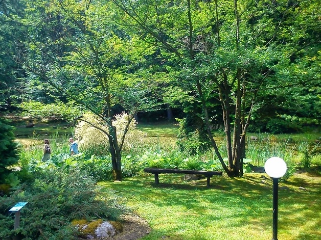 Miejscówka 277 - Wirty Arboretum - zdjęcie 5