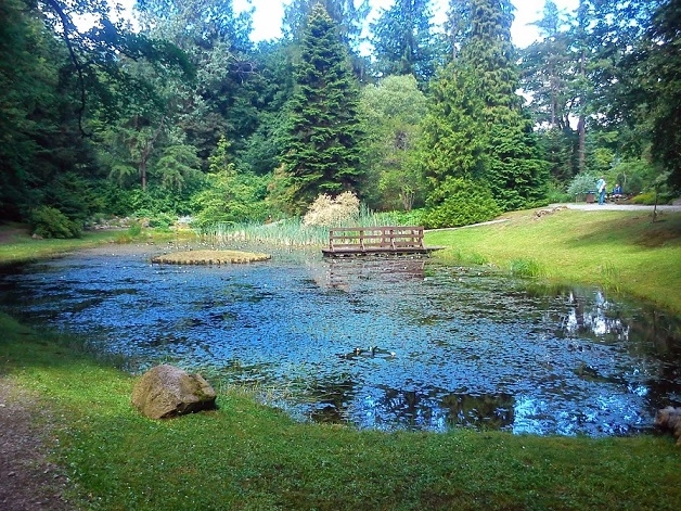 Miejscówka 277 - Wirty Arboretum - zdjęcie 4