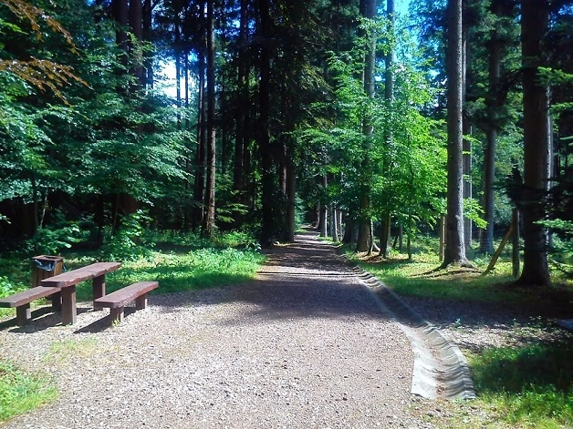 Miejscówka 277 - Wirty Arboretum - zdjęcie 3