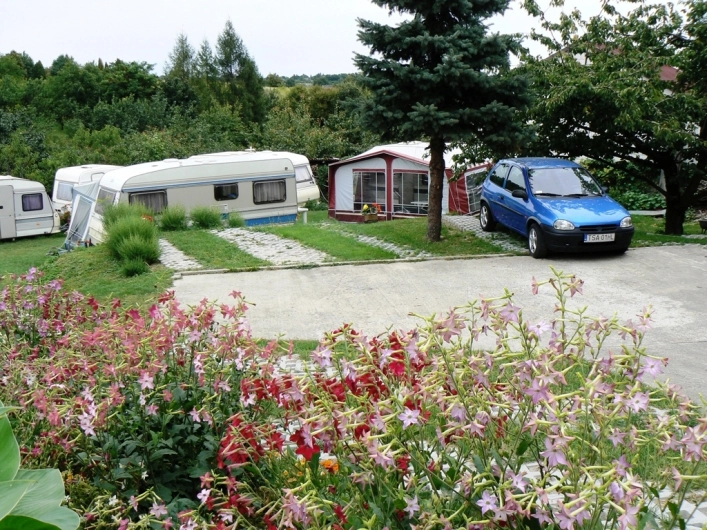 Galeria - zdjęcie 6