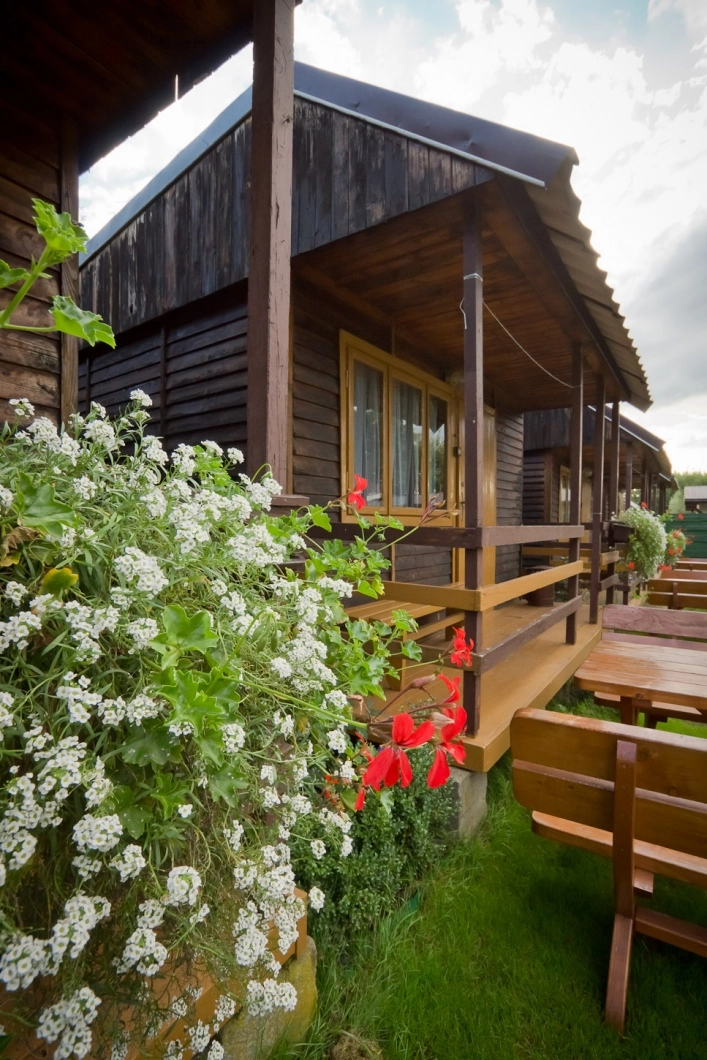 Galeria - zdjęcie 16