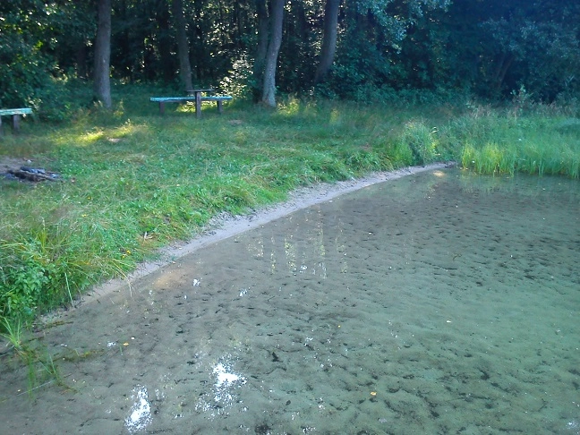 Miejscówka 286 - kort tenisowy - zdjęcie 3