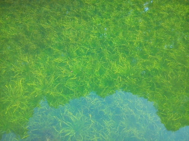 Miejscówka 286 - kort tenisowy - zdjęcie 2