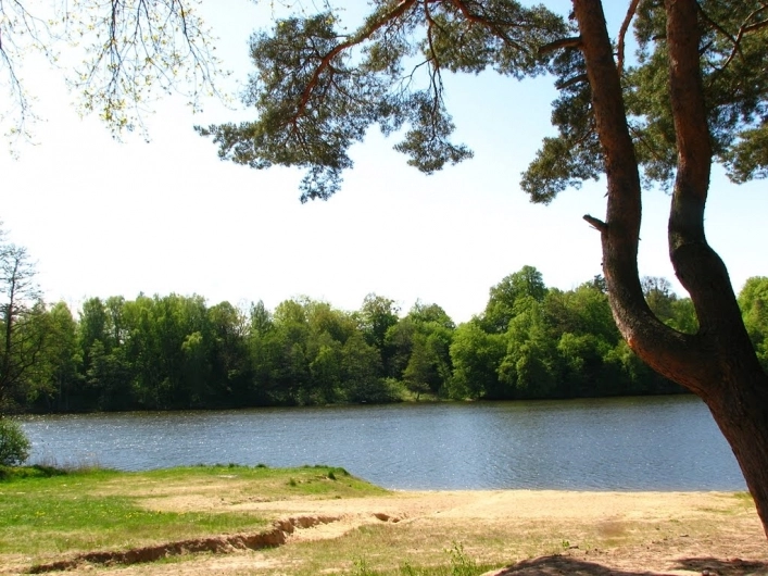 Miejscówka 288 - Jezioro Pierzchalskie - zdjęcie 3