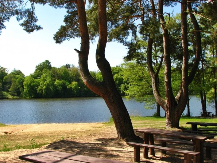 Miejscówka 288 - Jezioro Pierzchalskie - zdjęcie 2