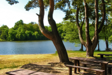 Miejscówka 288 - Jezioro Pierzchalskie - zdjęcie 0