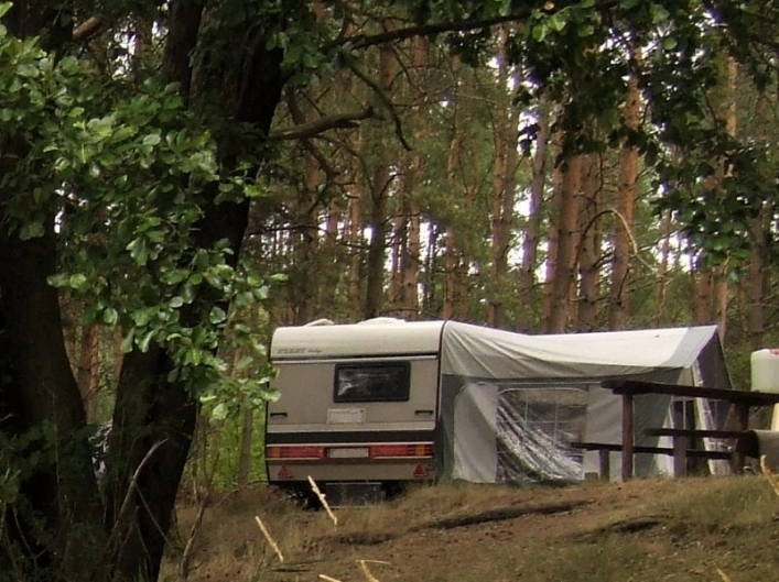 Galeria - zdjęcie 7