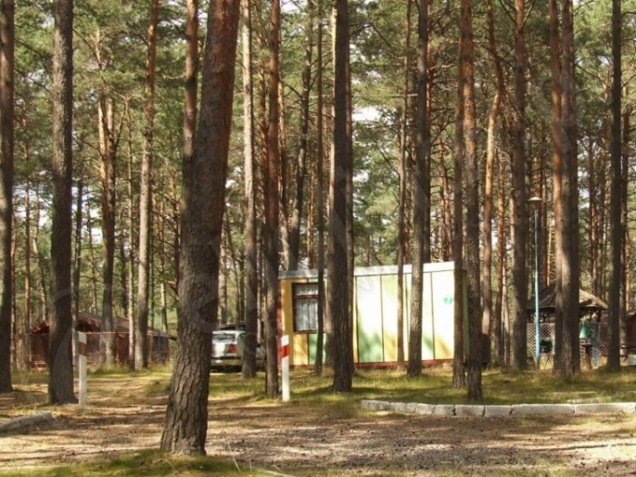 Galeria - zdjęcie 1