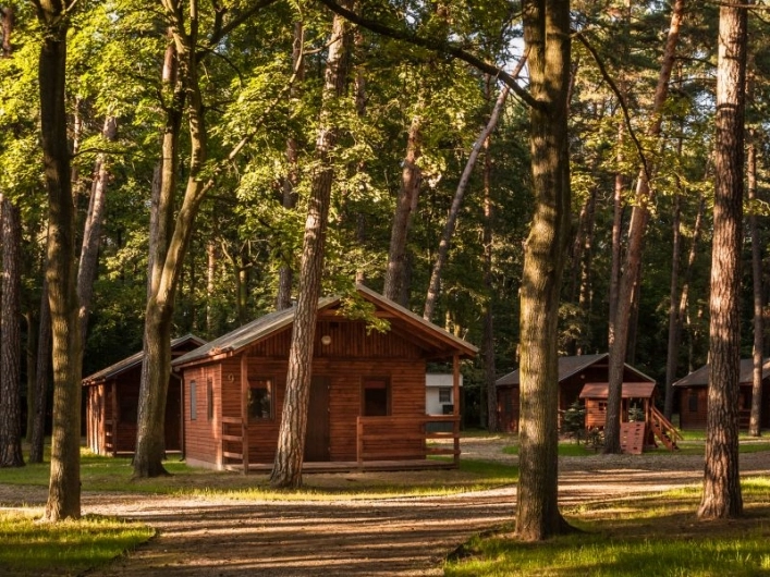 Galeria - zdjęcie 11