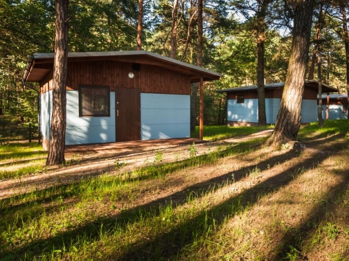 Galeria - zdjęcie 10