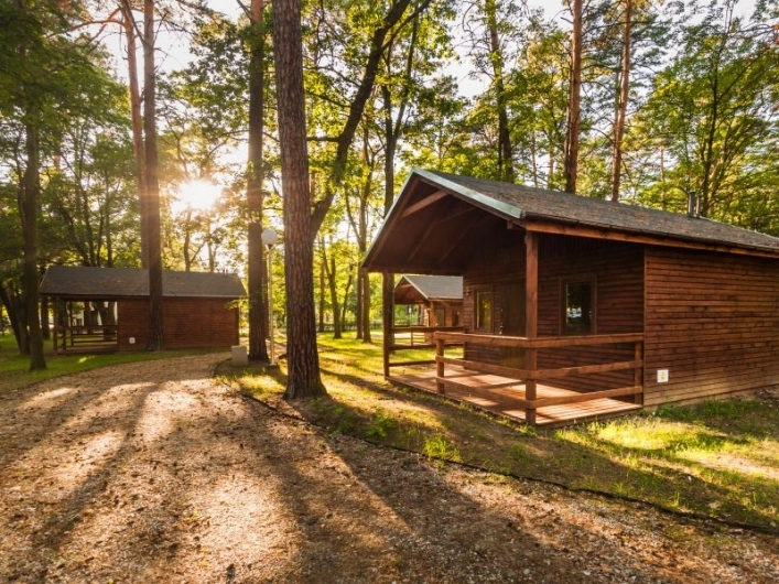 Galeria - zdjęcie 9