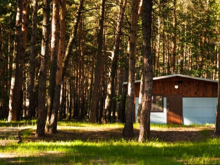 Galeria - zdjęcie 1