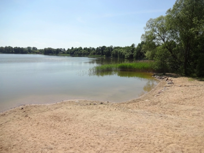 Galeria - zdjęcie 12