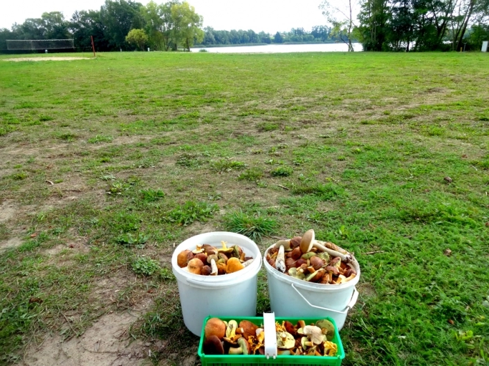 Półwysep SIelanka Ośrodek Wypoczynkowy - zdjęcie 2