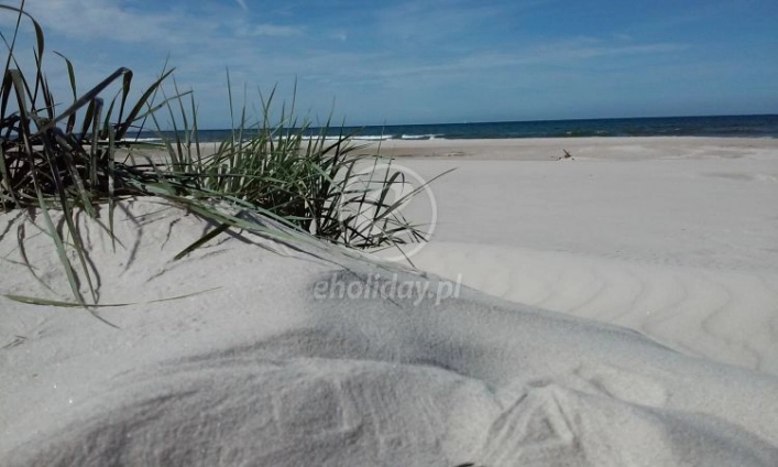 Galeria - zdjęcie 4