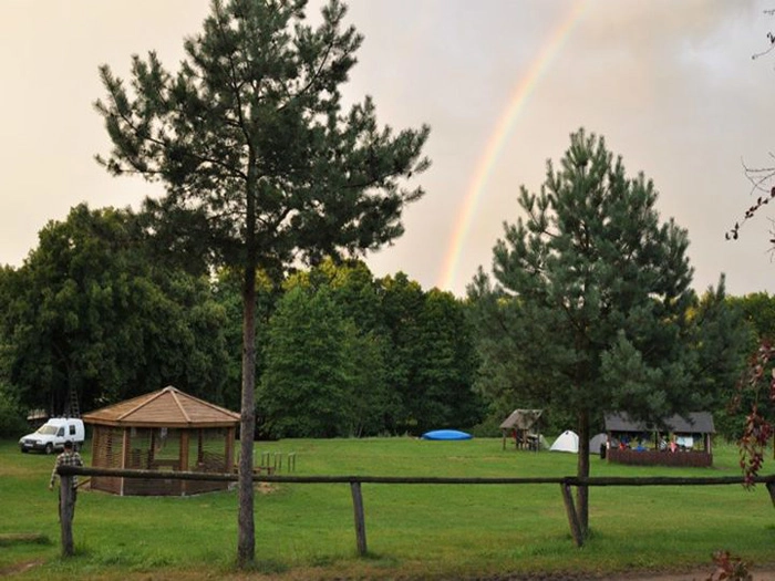 Galeria - zdjęcie 7