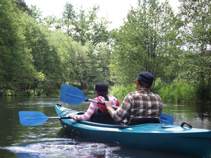 Galeria - zdjęcie 2