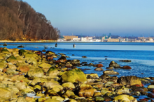 Miejscówka 293 - Gdynia IV - zdjęcie 0