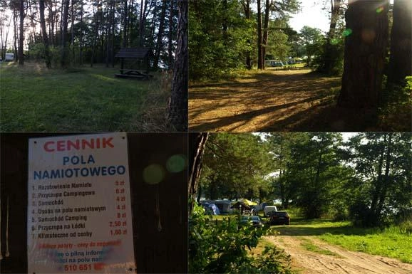 Miejscówka 298 - Wydmin - zdjęcie 2