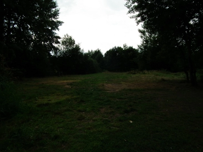 Miejscówka 300 - Kozłów - zdjęcie 12