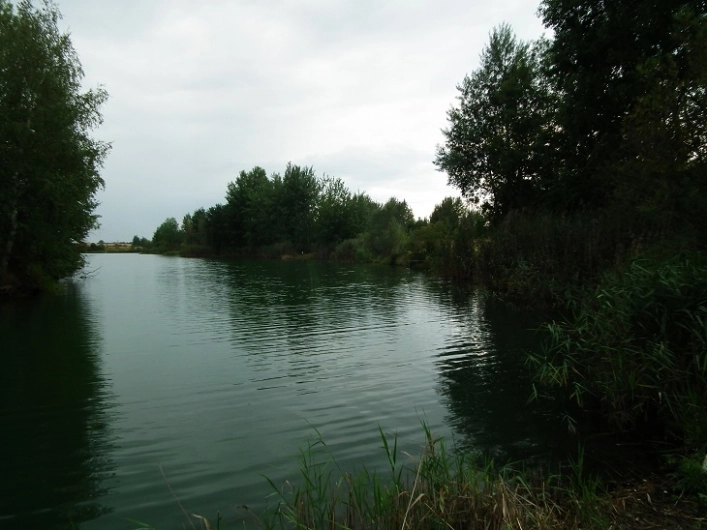 Miejscówka 300 - Kozłów - zdjęcie 9