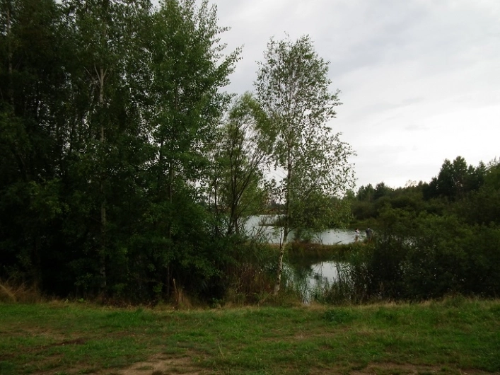 Miejscówka 300 - Kozłów - zdjęcie 6