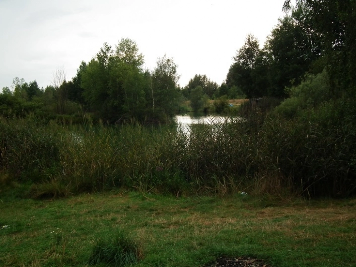 Miejscówka 300 - Kozłów - zdjęcie 5