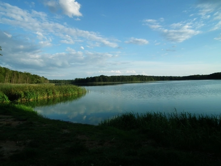 Miejscówka 301 - Grójec Wielki - zdjęcie 9