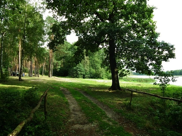 Miejscówka 301 - Grójec Wielki - zdjęcie 5